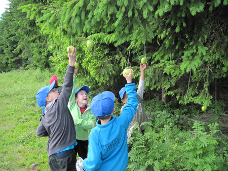 4PvP1B.1C.ctvr (114)